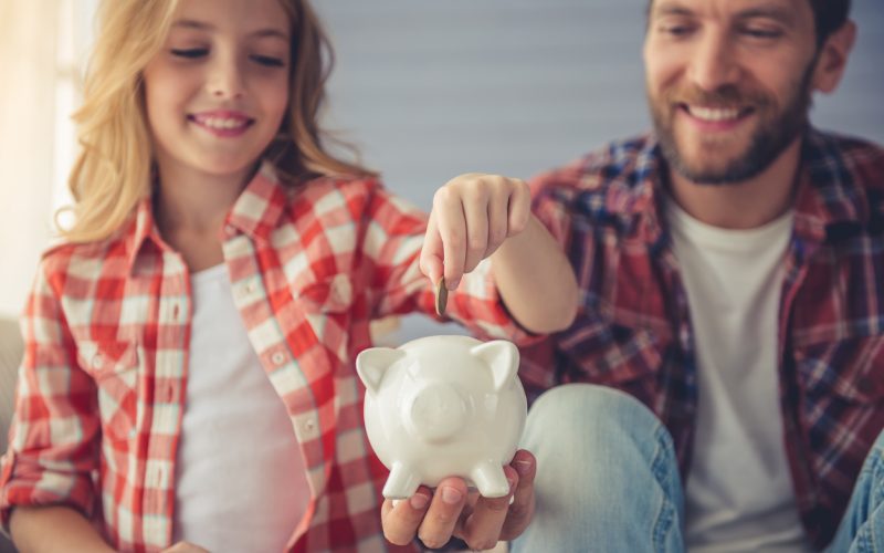 Redraw Facility vs Offset Account